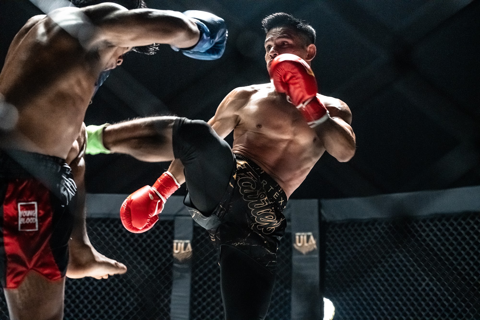 High kick landing inside the cage